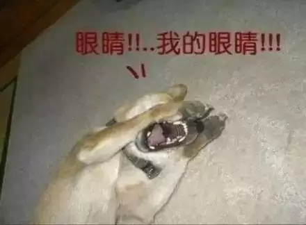 天涯明月刀吧ol吧-天涯明月刀吧