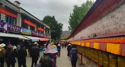 西游伏妖篇1在线观看免-西游伏妖篇的猪八戒是谁演的