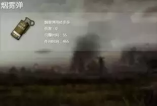 绝地求生如何投掷武器-吃鸡投掷物快捷键设置