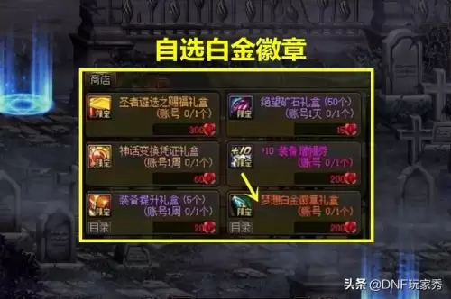 dnf剑宗白金徽章排名-dnf奶妈白金徽章
