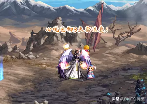 地下城与勇士仙子宠物-dnf心悦专属12个宠物外观