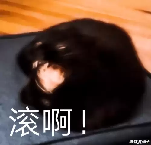 洛奇英雄传光明骑士二次变身-洛奇英雄传谬尔骑士选择