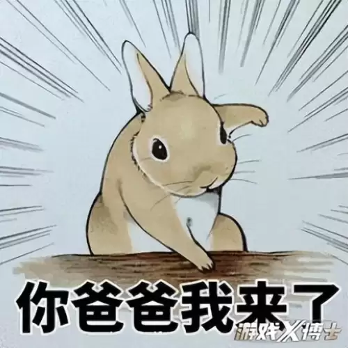 洛奇英雄传光明骑士二次变身-洛奇英雄传谬尔骑士选择