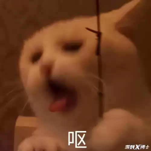 洛奇英雄传光明骑士二次变身-洛奇英雄传谬尔骑士选择