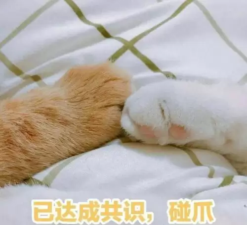 和平精英模仿绝地求生算不算抄袭-绝地求生战绩被吃了