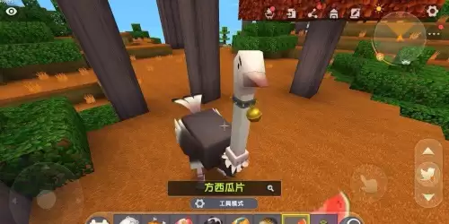 迷你世界里面的鸵鸟吃什么才能繁殖-迷你世界的鸵鸟吃什么