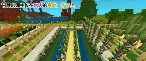 在迷你世界里面怎么样才能-怎么样才能获得迷你世界所有的皮肤