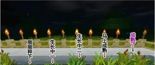 在迷你世界里面怎么样才能-怎么样才能获得迷你世界所有的皮肤