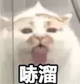 csgo直播-csgo直播比赛