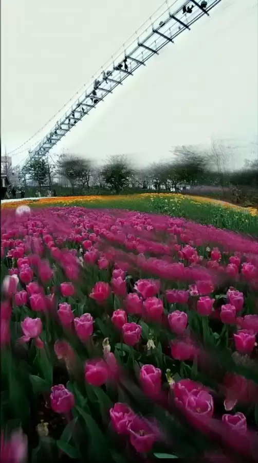 浪漫庄园怎么悬空-浪漫庄园悬空教程步骤图