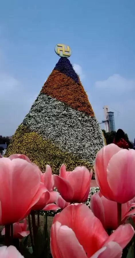 浪漫庄园怎么悬空-浪漫庄园悬空教程步骤图