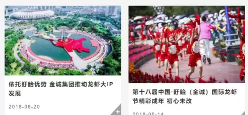 英雄联盟金诚-LOL金贡