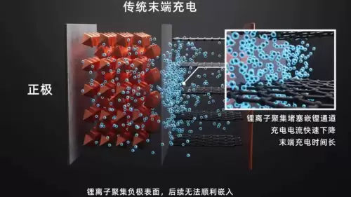 地下城堡23000金币的s战士-地下城堡2女战士转职什么好