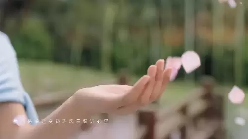 梦幻西游宣传片高清-产品宣传片