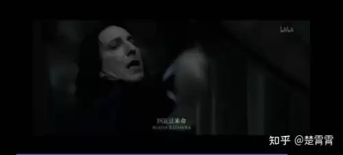哈利波特与混血王子小说免费阅读-哈利波特与阿兹卡班的囚徒电子书