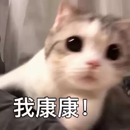 怪物猎人金蛋银蛋有什么用-怪猎银蛋干嘛用的