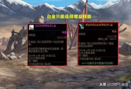 dnf白金徽章在哪里重铸-获得白金徽章的注意事项