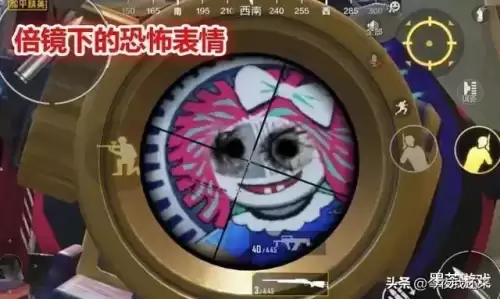 和平精英满能量能跑更快吗-和平精英能量值干嘛的
