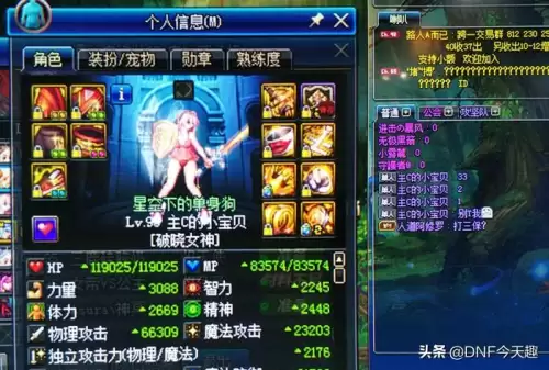 dnf帕拉丁95a防具选择-dnf帕拉丁是固伤还是百分比