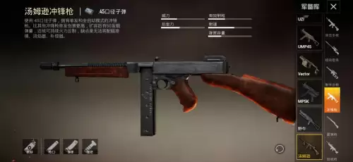 和平精英最牛的五把枪是什么-第五名 vector冲锋枪