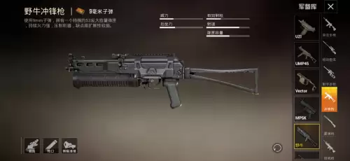 和平精英最牛的五把枪是什么-第五名 vector冲锋枪