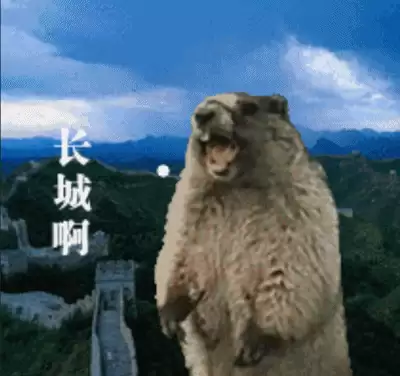 魔域永恒幻盾进阶数据