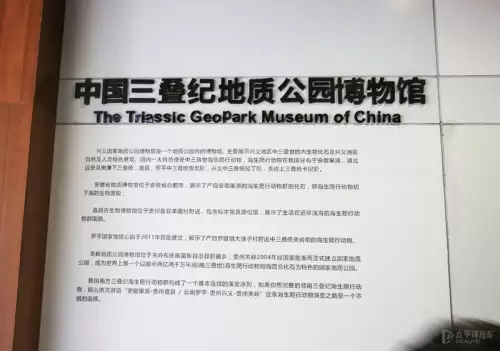 龙族幻想八音盒子物语
