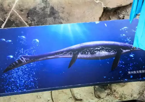 龙族幻想八音盒子物语
