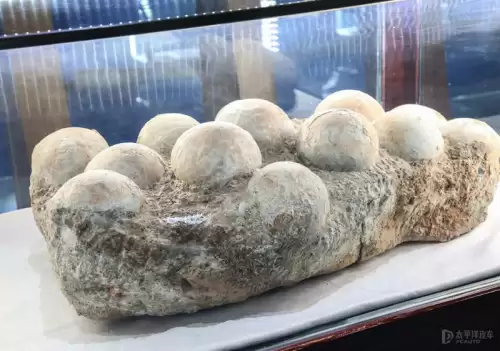 龙族幻想八音盒子物语