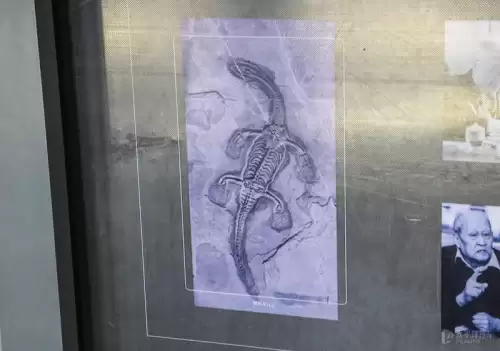 龙族幻想八音盒子物语