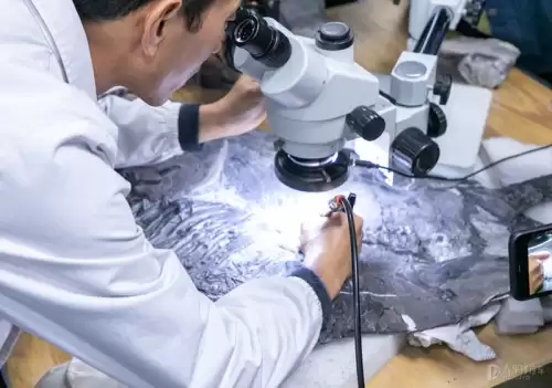 龙族幻想八音盒子物语