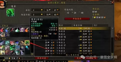 魔兽世界拍卖怎么买一个-wow拍卖行买的东西