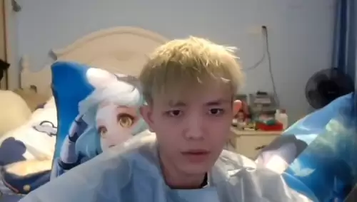 王者荣耀主播头像-王者荣耀职业头像生成器