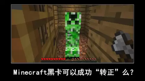 我的世界正版id查询皮肤-我的世界正版玩家皮肤用户名