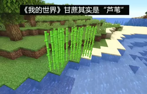 怎么删除迷你世界全部数据-怎么删除迷你世界游戏