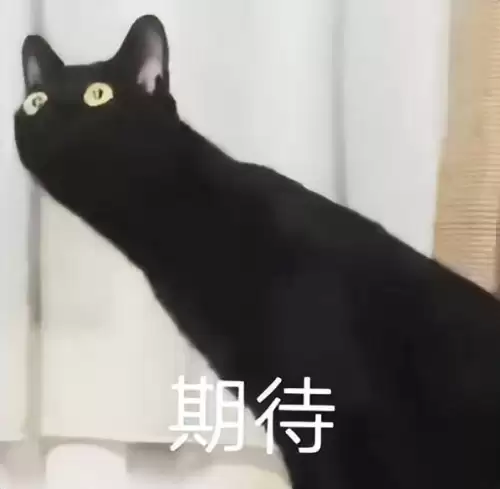 wow电影模式怎么解除-魔兽世界怀旧服怎么解除绑定