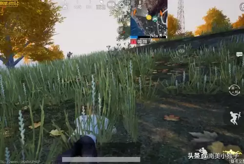 吃鸡爱心石在哪个位置-和平精英有爱心的地方