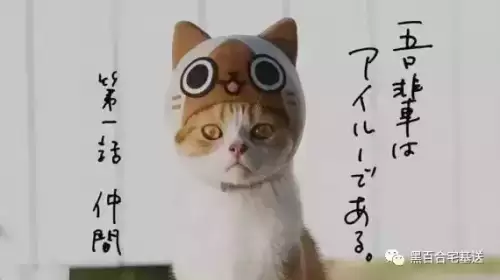 梦想星城类似游戏-梦想星城好玩吗