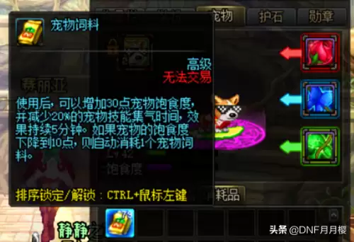 dnf宠物饿了怎么办-猎人宠物饿了怎么喂养
