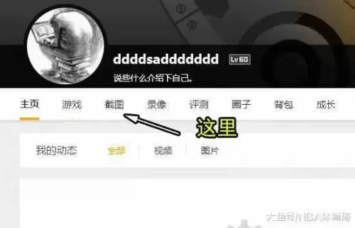 dnf截屏在哪个文件夹-dnf截图保存在哪里
