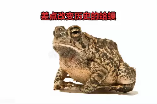 天机神马影视在线观看