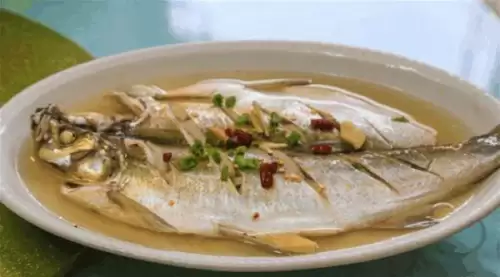 明日之后小银鱼鳜鱼在哪可以钓-河豚怎么钓