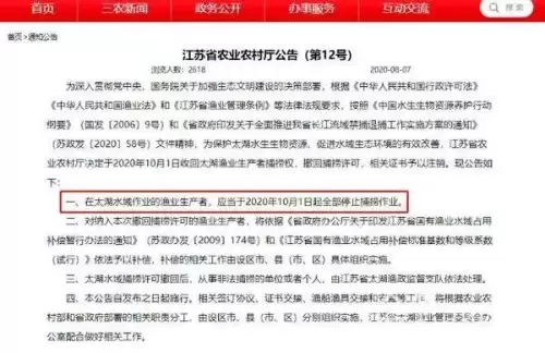 明日之后小银鱼鳜鱼在哪可以钓-河豚怎么钓