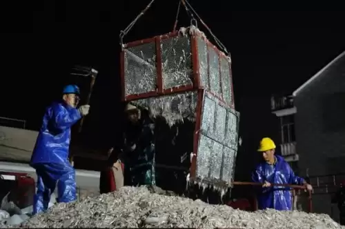 明日之后小银鱼鳜鱼在哪可以钓-河豚怎么钓