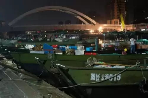 明日之后小银鱼鳜鱼在哪可以钓-河豚怎么钓