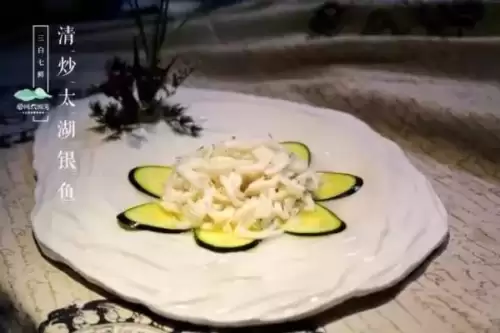 明日之后小银鱼鳜鱼在哪可以钓-河豚怎么钓