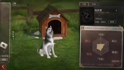 明日之后负重犬怎么升级-明日之后家门犬有什么用