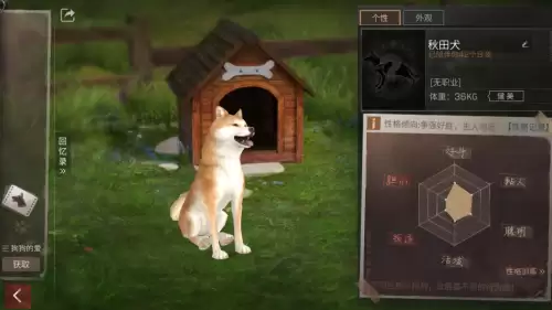 明日之后负重犬怎么升级-明日之后家门犬有什么用