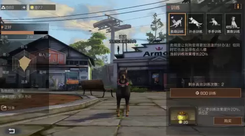 明日之后负重犬怎么升级-明日之后家门犬有什么用