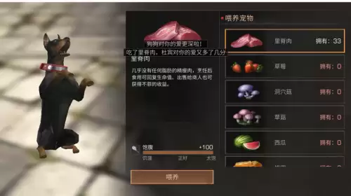 明日之后负重犬怎么升级-明日之后家门犬有什么用